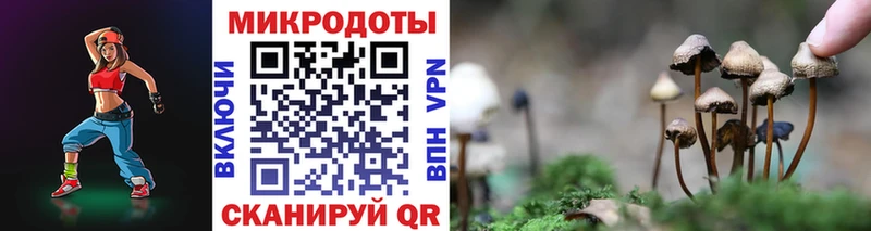Псилоцибиновые грибы прущие грибы  Салаир 